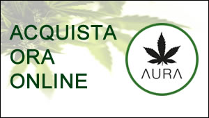 Cannabis legale Veneto